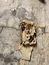 img_03_4