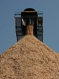img_0170